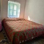 Nika & Camp Guest house