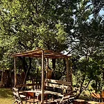 Nika & Camp Guest house *