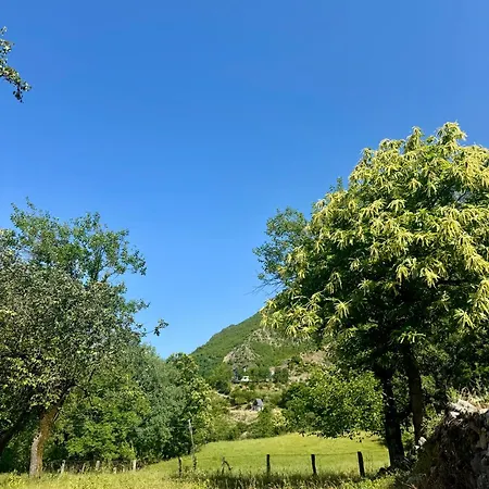 Gasthof Nika & Camp *